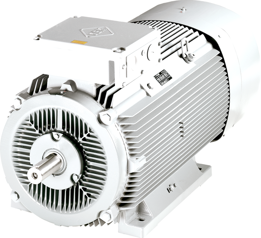 Preventive Maintenance of HT Motors